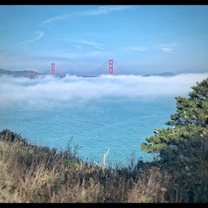 Meet your Posher, Gargi